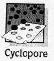 Cyclopore