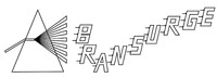 BRANSURGE