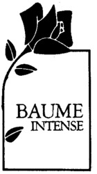 BAUME INTENSE