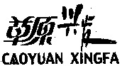 CAOYUAN XINGFA