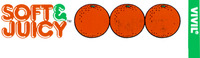 VIVIL SOFT & JUICY