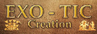 EXO-TIC Creation
