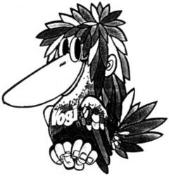Vogi