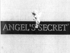 ANGEL'S SECRET
