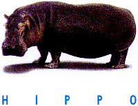 HIPPO