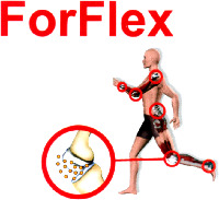 ForFlex