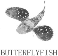BUTTERFLYFISH