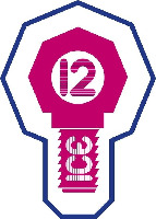 ICE 12