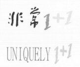 UNIQUELY 1 + 1