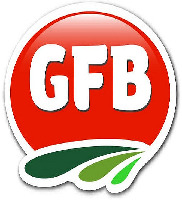 GFB