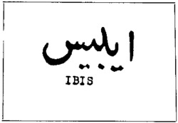 IBIS