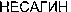  NESAGIN (Cyrillic). 