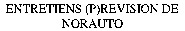 ENTRETIENS (P)REVISION DE NORAUTO