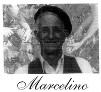 Marcelino