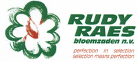 RUDY RAES bloemzaden n.v. perfection in selection selection means perfection