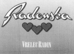 Radenska VRELEC RADIN