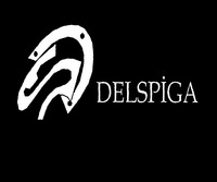 DSG DELSPIGA