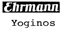 Ehrmann Yoginos