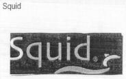 Squid