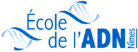 École de l'ADN Nîmes